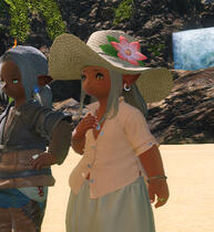 A Plainsfolk Lalafellin woman smiles hopefully as the sun sets beyond the grassy hillside, her husband close beside her. She wears a floral straw hat atop long grey hair, a plain pink buttoned top, and a loose tan skirt.